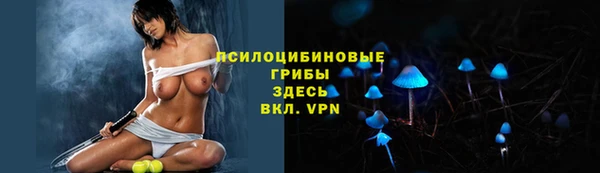 МДПВ Заволжье