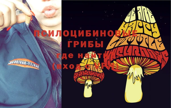 тгк Заволжск